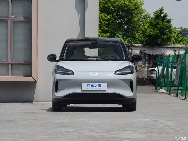SAIC-GM-Wuling Binguo PLUS 2024 330km five-seat version