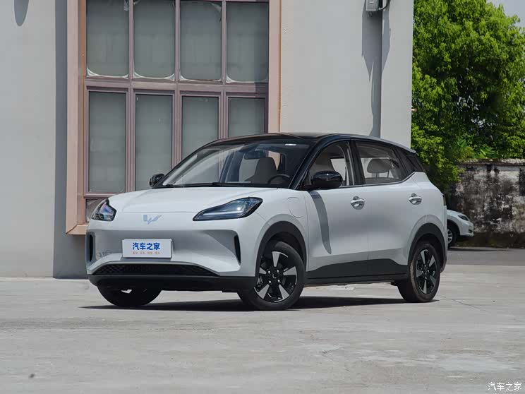 SAIC-GM-Wuling Binguo PLUS 2024 510km five-seat version